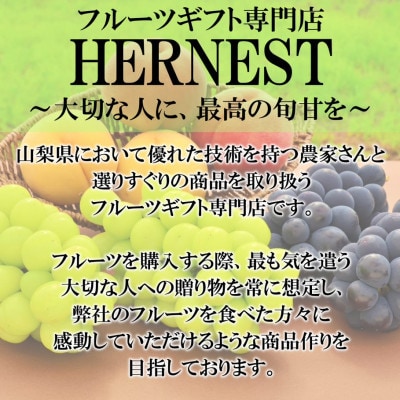 【発送月固定定期便】フルーツギフト専門店が選ぶ甲州市の厳選フルーツ定期便　全2品種全2回