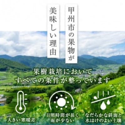 厳選!山梨県甲州市産 桃 約2Kg