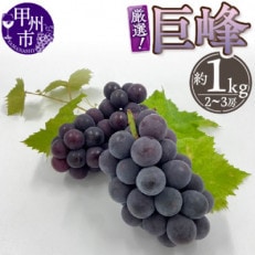 厳選!山梨県甲州市産 巨峰 約1Kg (2～3房)