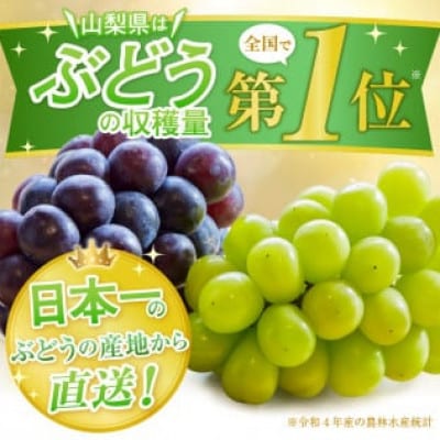厳選!山梨県甲州市産 シャインマスカット含む3色セット約1.8kg