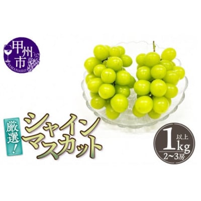 厳選!山梨県甲州市産 シャインマスカット 約1Kg以上 2～3房