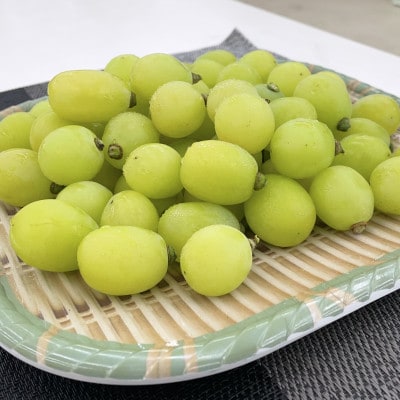 【2026年発送】【訳あり】甲州市産シャインマスカットつぶつぶ 1kg