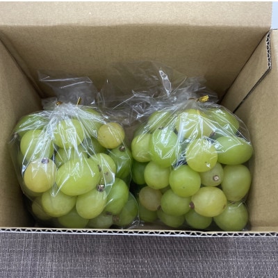 【2026年発送】【訳あり】甲州市産シャインマスカットつぶつぶ 1kg