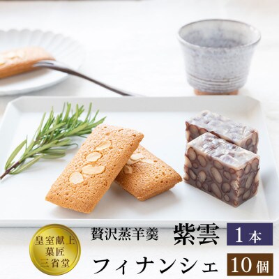 皇室献上菓子舗三省堂 贅沢蒸羊羹とフィナンシェ10個セット