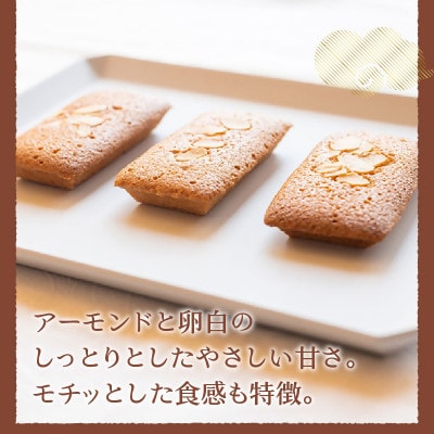 皇室献上菓子舗三省堂 贅沢蒸羊羹とフィナンシェ10個セット