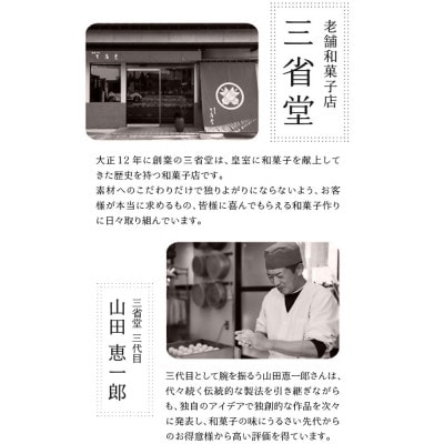 三省堂 高級蒸羊羹『紫雲』2本セット 山梨が贈る贅沢ようかん 本格和菓子