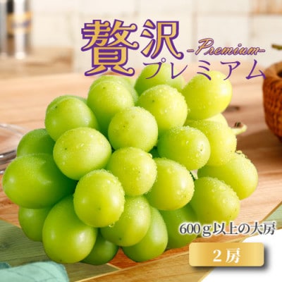 【2025年発送】山梨産 プレミアムシャインマスカット2房 約1.2kg 産地直送