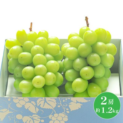 【2025年発送】山梨産 プレミアムシャインマスカット2房 約1.2kg 産地直送