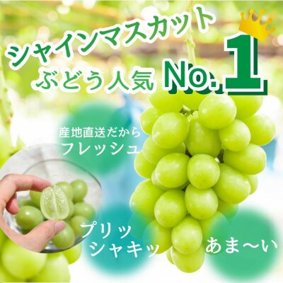 【2025年発送】山梨産 プレミアムシャインマスカット2房 約1.2kg 産地直送