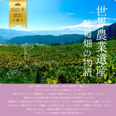 【2025年発送】山梨産 プレミアムシャインマスカット2房 約1.2kg 産地直送