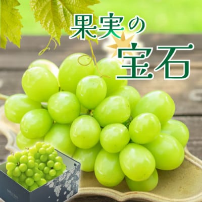 甲州市産シャインマスカット2房 約1kg