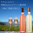 山梨県産 ロゼワイン 甲州白ワイン 2本セット 飲み比べ 720ml×2本 ラベルレス