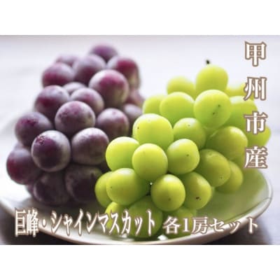 大人気!巨峰・シャインマスカット食べ比べセット 各1房