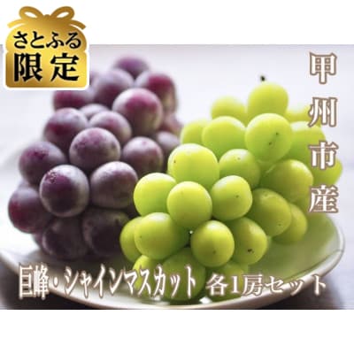 【さとふる限定】【2026年先行受付】大人気!巨峰・シャインマスカット食べ比べセット 各1房