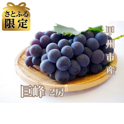 【さとふる限定】大人気!甲州市産 朝採れ 巨峰 約1kg(2房)