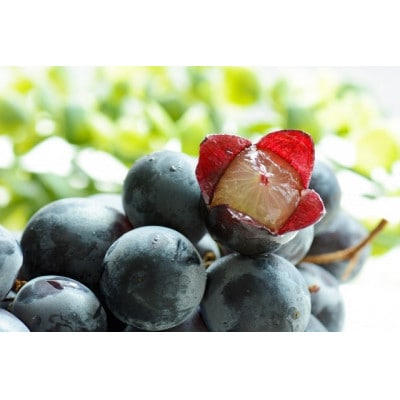 大人気!甲州市産 朝採れ 巨峰 約1kg(2房)