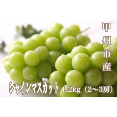 産地直送やみつきシャインマスカット 1.2kg(2～3房)