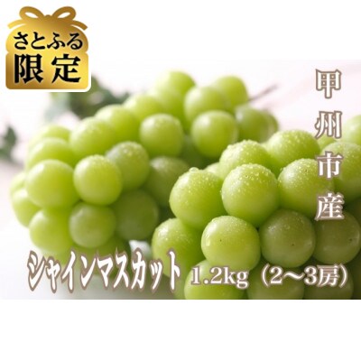 【さとふる限定】【2026年先行受付】産地直送やみつきシャインマスカット 1.2kg(2～3房)