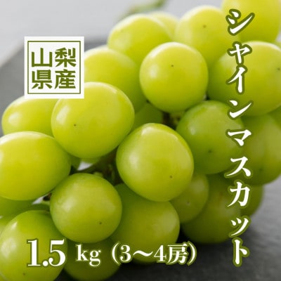 産地直送やみつきシャインマスカット 1.5kg(3～4房)