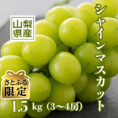【さとふる限定】【2026年先行受付】甲州市産やみつきシャインマスカット 1.5kg(3～4房)