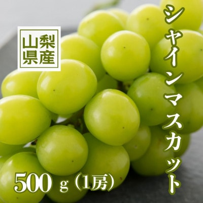 産地直送やみつきシャインマスカット 500g以上(1房)