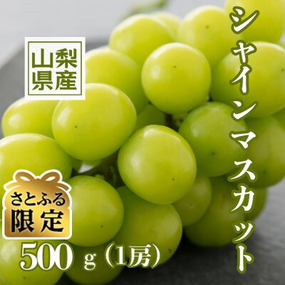 【さとふる限定】【2026年先行受付】甲州市産やみつきシャインマスカット 500g以上(1房)