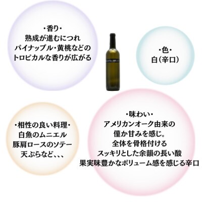 【塩山洋酒醸造】ザルツベルク甲州 720ml
