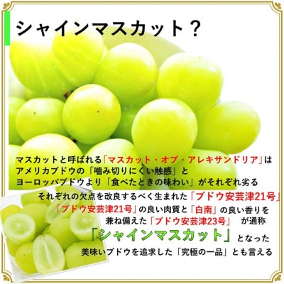 安心のクール便発送　シャインマスカット　4kg (6～8房)