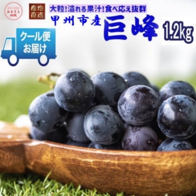 安心のクール便発送　山梨県産　 巨峰 1.2kg　(2房)