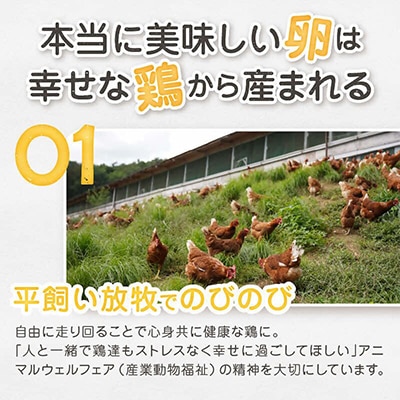 【毎月定期便】放牧卵18個(6個×3パック)【F-503】全10回