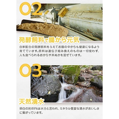 【毎月定期便】放牧卵18個(6個×3パック)【F-503】全10回