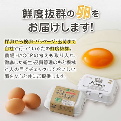 【毎月定期便】放牧卵18個(6個×3パック)【F-503】全10回