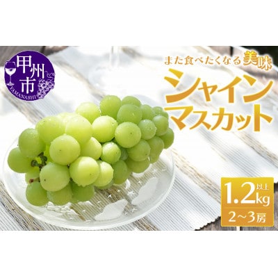 また食べたくなる 美味 シャインマスカット 1.2kg以上 2～3房【2025年発送】