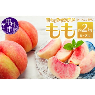 いいとこ取り夏の美味しさ一番 桃 6～8玉 約2kg【2025年発送】