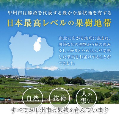 時期一番の特選 巨峰・シャインマスカット各1房(2房合計1.1kg以上)【2025年発送】
