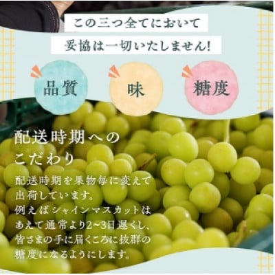 厳選契約農家のシャインマスカット1.2kg以上　2～3房
