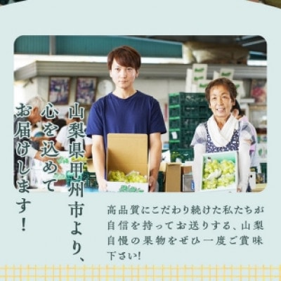 厳選契約農家のシャインマスカット2kg以上　3～5房
