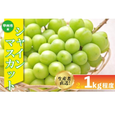 生産者直送!『シャインのふるさと甲州』シャインマスカット2房(計1kg程度)