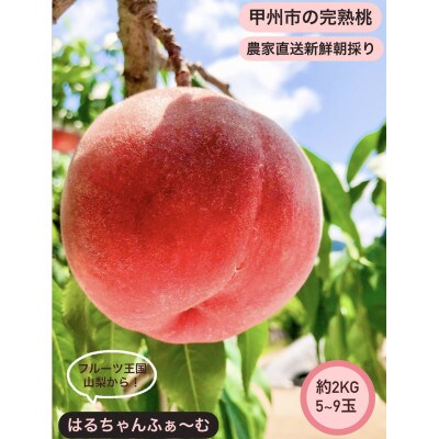 私たち家族3人、1つ1つ丹精込めて育てた甲州市の桃 約2kg