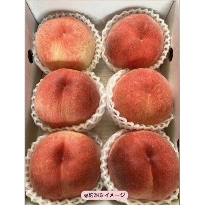 私たち家族3人、1つ1つ丹精込めて育てた甲州市の桃 約2kg