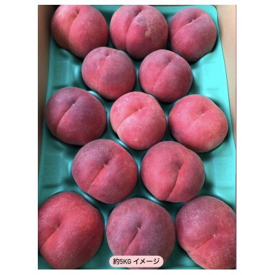 私たち家族3人、1つ1つ丹精込めて育てた甲州市の桃 約5kg