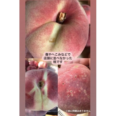 見た目が理由の訳あり桃 フードレスキュー・ユニークな甲州市の桃 約3kg