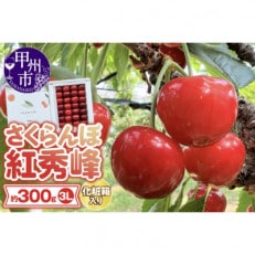 甲州市産大粒さくらんぼ童夢の「紅秀峰」化粧箱(3Lサイズ/約300g)【2024年発送】