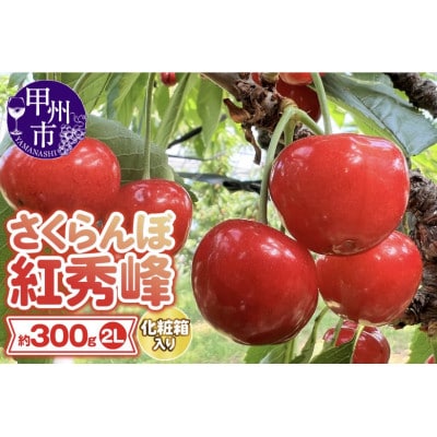 大粒さくらんぼ童夢の「紅秀峰」化粧箱(2Lサイズ/約300g)【2025年発送】