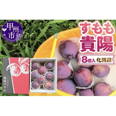 童夢のすもも「貴陽」化粧箱 8個入り(約1.6～1.9kg)【2025年発送】