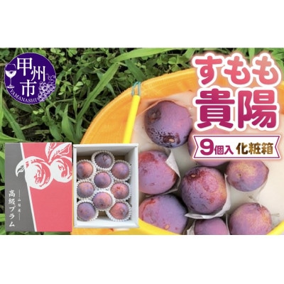 童夢のすもも「貴陽」化粧箱 9個入り(約1.35～1.7kg)【2025年発送】