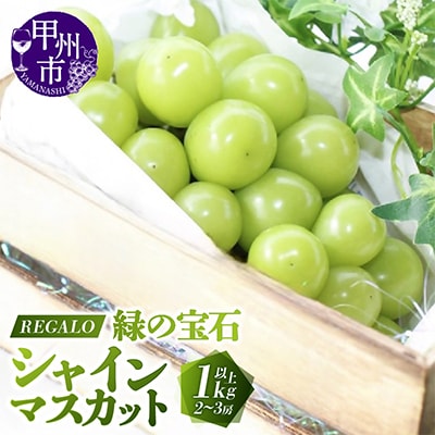 頬張る幸福感 ～緑の宝石・シャインマスカット～ 1kg以上(2～3房)
