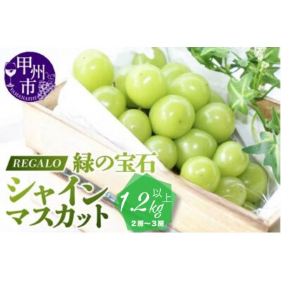 頬張る幸福感 ～緑の宝石・シャインマスカット～ 1.2kg以上(2～3房)