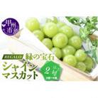 頬張る幸福感 ～緑の宝石・シャインマスカット～ 2kg以上(3～5房)