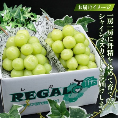 頬張る幸福感 ～緑の宝石・シャインマスカット～ 1.1kg以上(2～3房)　【冷蔵発送】